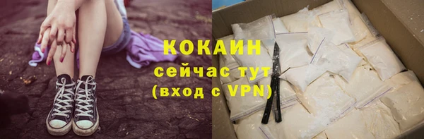 крисы Новокубанск