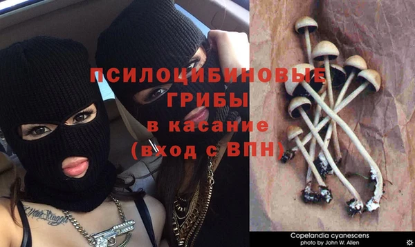 бошки Нея