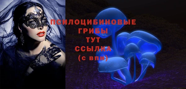 бошки Нея