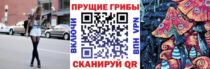 цена   Александровск-Сахалинский  omg как зайти  Псилоцибиновые грибы мухоморы 